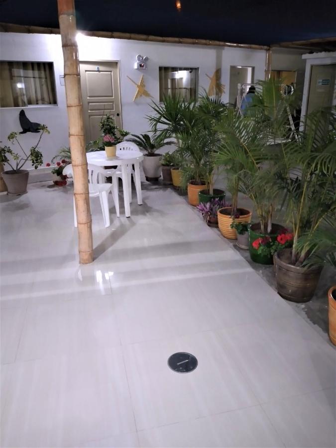 Hostel Icthus Paracas
