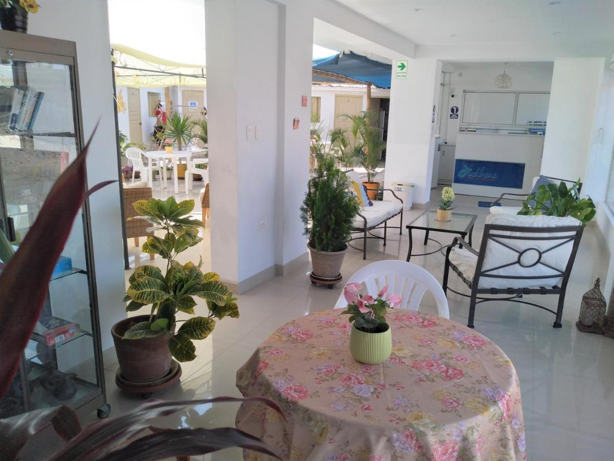Auberge de jeunesse Icthus Paracas